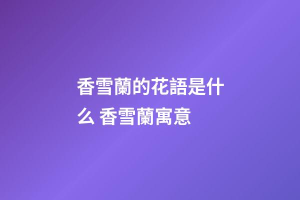 香雪蘭的花語是什么 香雪蘭寓意
